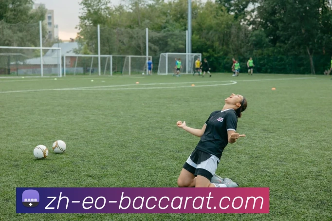 百家乐官网服务体系